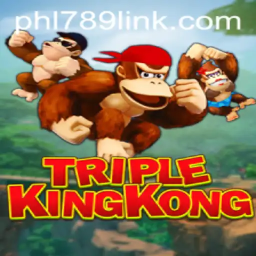 TripleKingKong: A Dynamic Game Experience for Enthusiasts